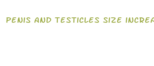 penis and testicles size increase with age