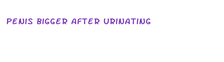 penis bigger after urinating