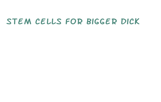 stem cells for bigger dick