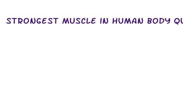 strongest muscle in human body quora