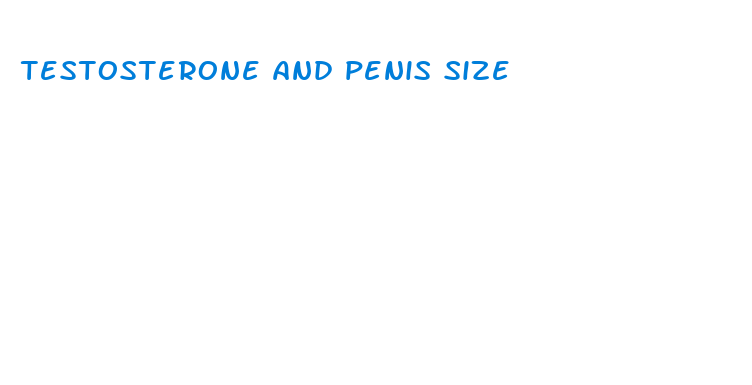 testosterone and penis size