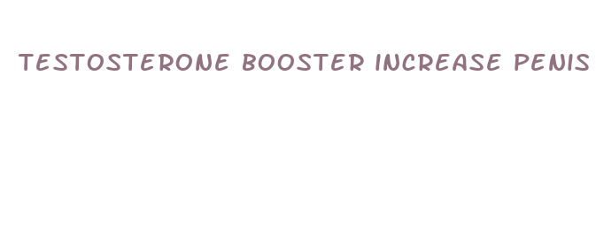 testosterone booster increase penis size