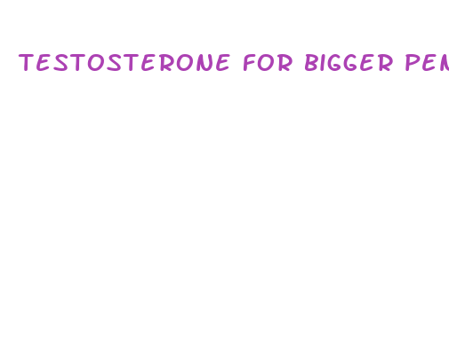 testosterone for bigger penis