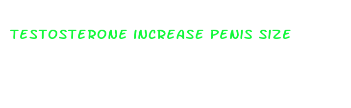 testosterone increase penis size