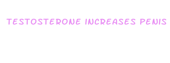 testosterone increases penis size