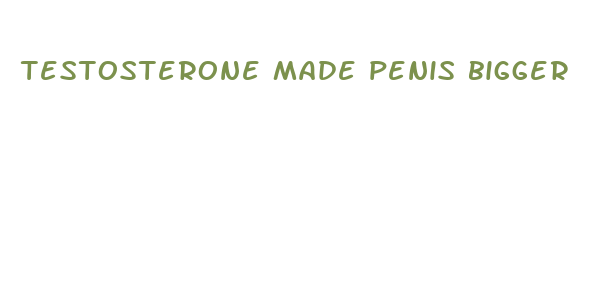 testosterone made penis bigger