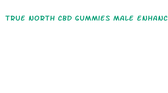 true north cbd gummies male enhancement reviews