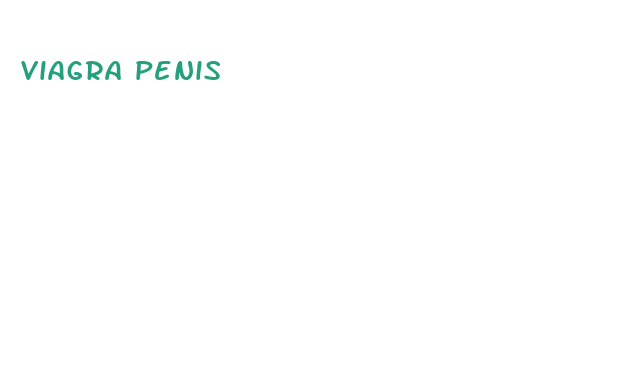 viagra penis