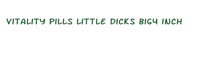 vitality pills little dicks big4 inch