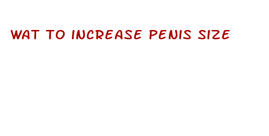 wat to increase penis size