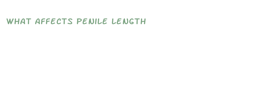 what affects penile length