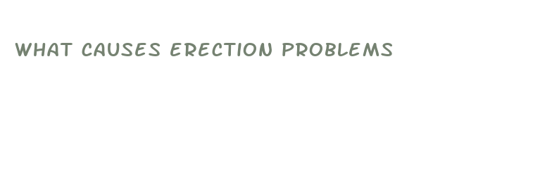 what causes erection problems