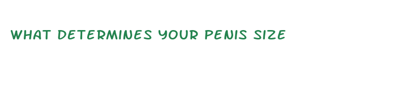 what determines your penis size