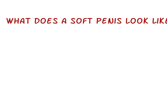 what does a soft penis look like