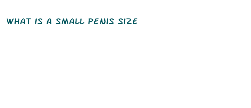 what is a small penis size