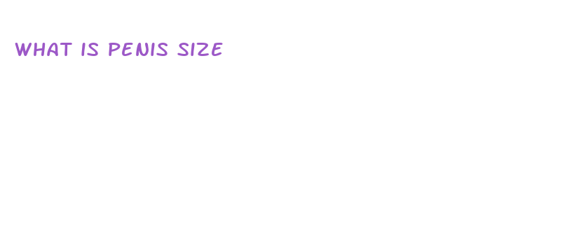 what is penis size