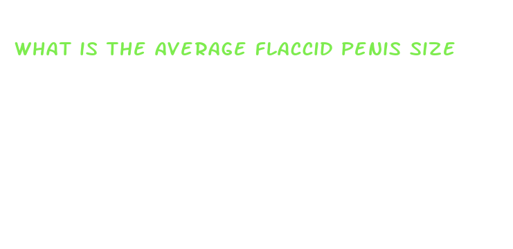 what is the average flaccid penis size