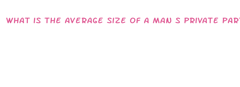 what is the average size of a man s private part