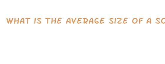 what is the average size of a soft penis