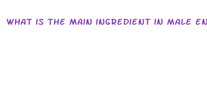 what is the main ingredient in male enhancement pills