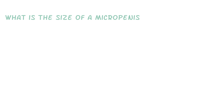 what is the size of a micropenis