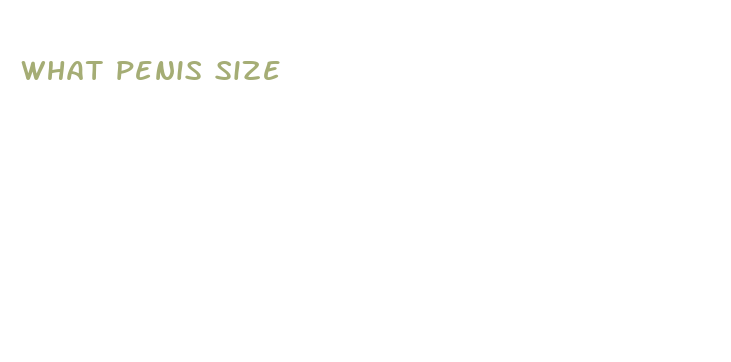 what penis size