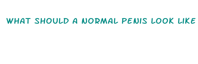 what should a normal penis look like