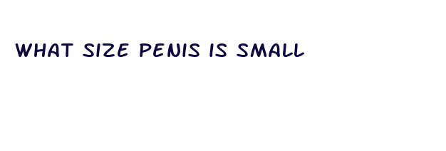 what size penis is small