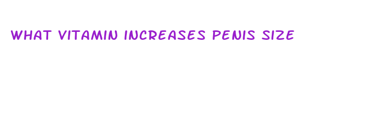 what vitamin increases penis size