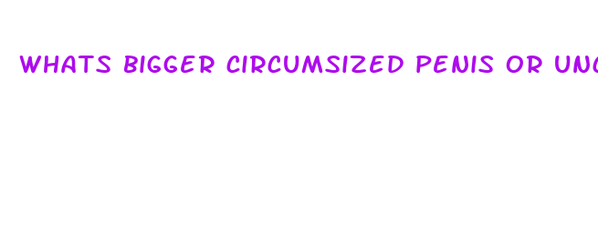 whats bigger circumsized penis or uncercumsized