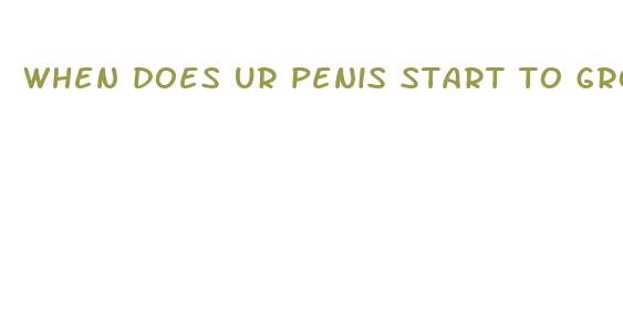 when does ur penis start to grow