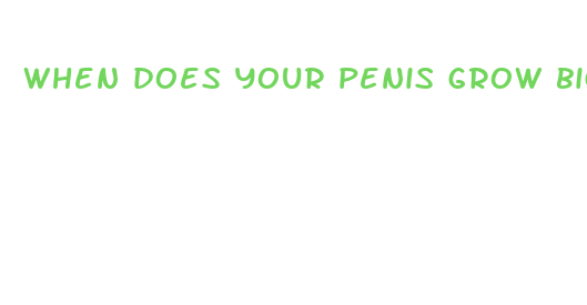 when does your penis grow bigger