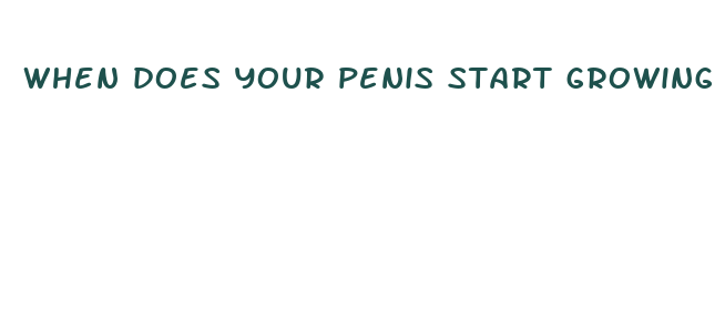 when does your penis start growing