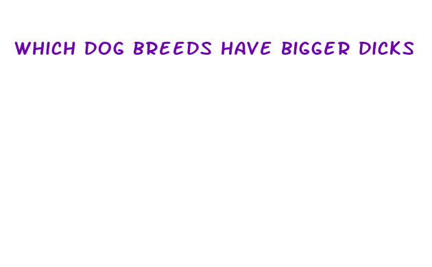 which dog breeds have bigger dicks