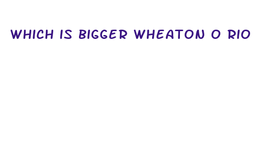 which is bigger wheaton o rio for dick s sporting ogoods