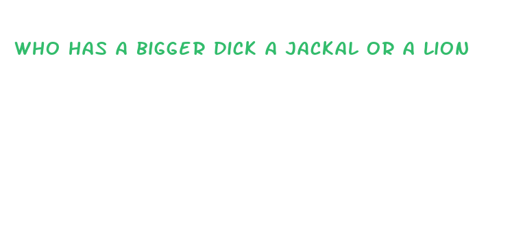 who has a bigger dick a jackal or a lion