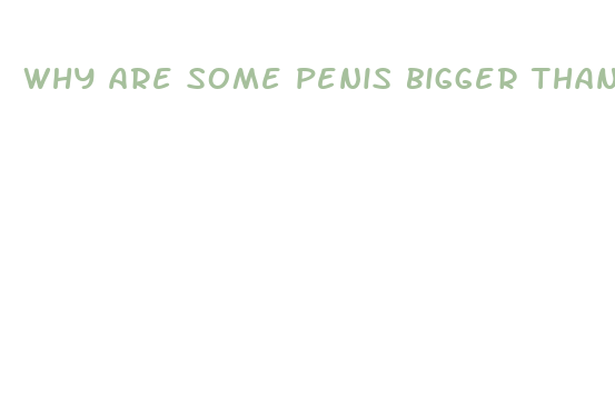 why are some penis bigger than otehrs