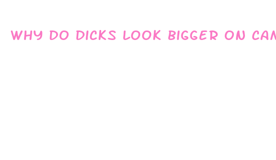 why do dicks look bigger on camera