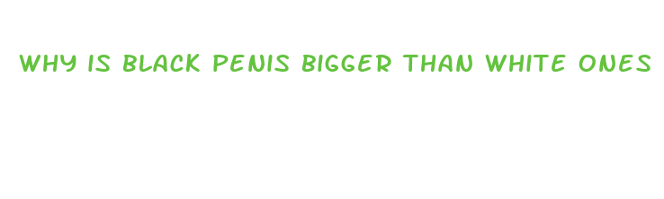 why is black penis bigger than white ones