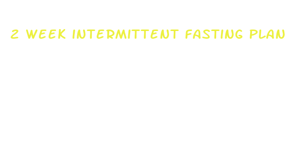 2 week intermittent fasting plan