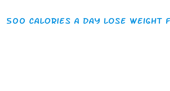 500 calories a day lose weight fast