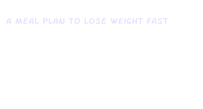 a meal plan to lose weight fast