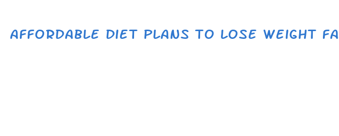 affordable diet plans to lose weight fast