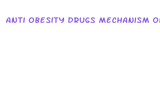 anti obesity drugs mechanism of action