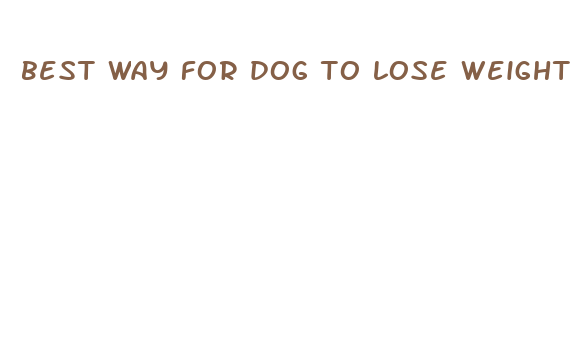 best way for dog to lose weight fast