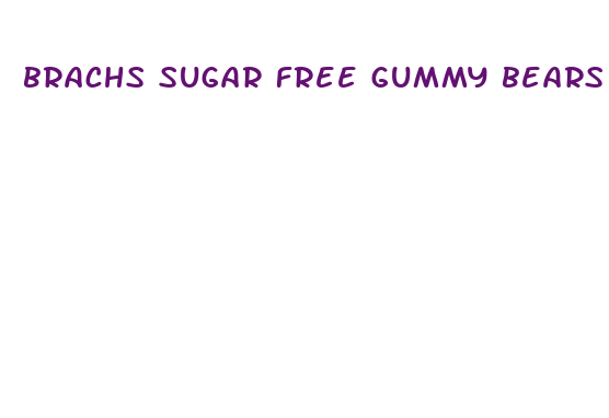 brachs sugar free gummy bears keto