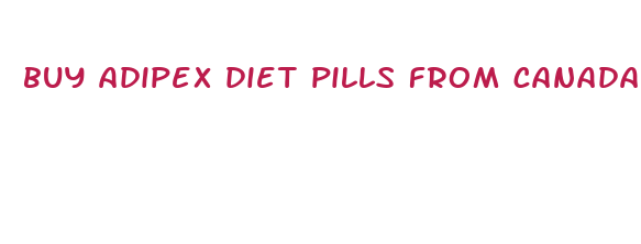 buy adipex diet pills from canada