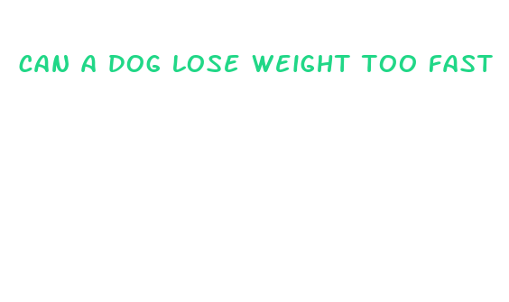 can a dog lose weight too fast