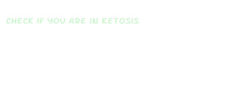 check if you are in ketosis