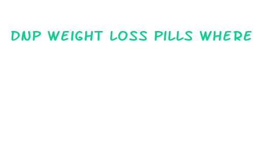 dnp weight loss pills where